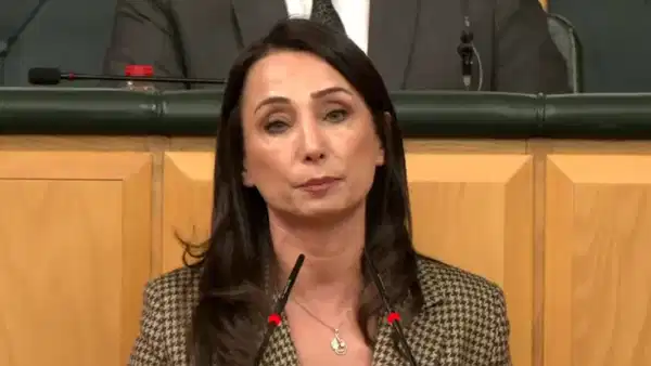 DEM Partili Hatimoğulları'ndan iktidara: 'Çerçeve yasa daha da geciktirilmemeli'